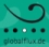 Details | Globalflux