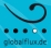 Details | Globalflux